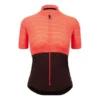 Maglia Santini Colore Riga Manica Corta Granatina Lilla Donna- Classic Fit